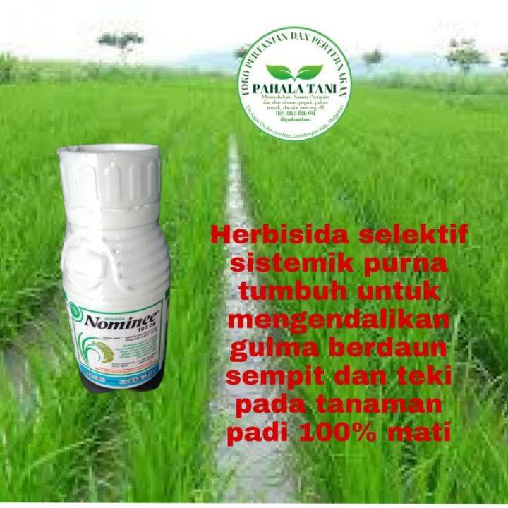 Nominee 103OF/racun Rumput Teki/ Obat Gulma Berdaun Sempit/ Racun ...