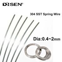 3/5/10 Meters 304 Stainless Steel Spring Steel Wire Single Strand Elastic Disc Steel Wire Diameter 0.4mm 2mm