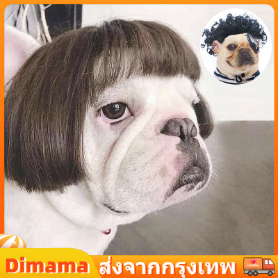 【Dimama】COD ผมปลอม วิกผมสังเคราะห์สําหรับสัตว์เลี้ยงสุนัขแมว สัตว์เลี้ยง แมว หมา