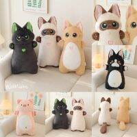 พร้อมส่ง? ตุ๊กตา ตุ๊กตาแมว ตุ๊กตาหมู น้องน่ารัก กอดถนัดมือ ตุ๊กตาแมวยืน ตุ๊กตาน่ารัก ของขวัญ gift cat piggy doll