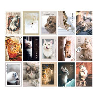 postcard15แผ่นน้องหมาน้องแมวน่ารัก 10X15cm ภาพติดผนัง ภาพแต่งห้อง รูปติดผนังลายสัตว์ Poster Postcard ฉากถ่ายรูป การ์ดตกแต่งห้อง