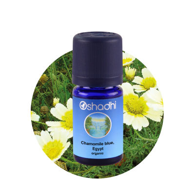 Oshadhi Chamomile blue, Egypt organic Essential Oil น้ำมันหอมระเหย (3 ml)