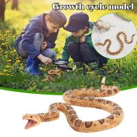 Rubber Artificial Snake Toy Simulation Animal Model Rattlesnake Toy Mini Childrens J4P1