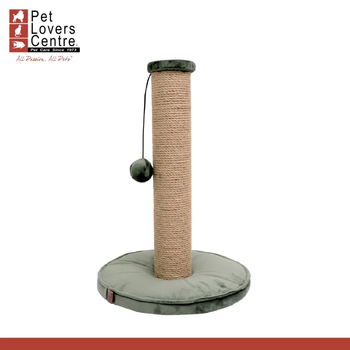 Lotte Cat Scratch Post Yenna Green Lazada PH