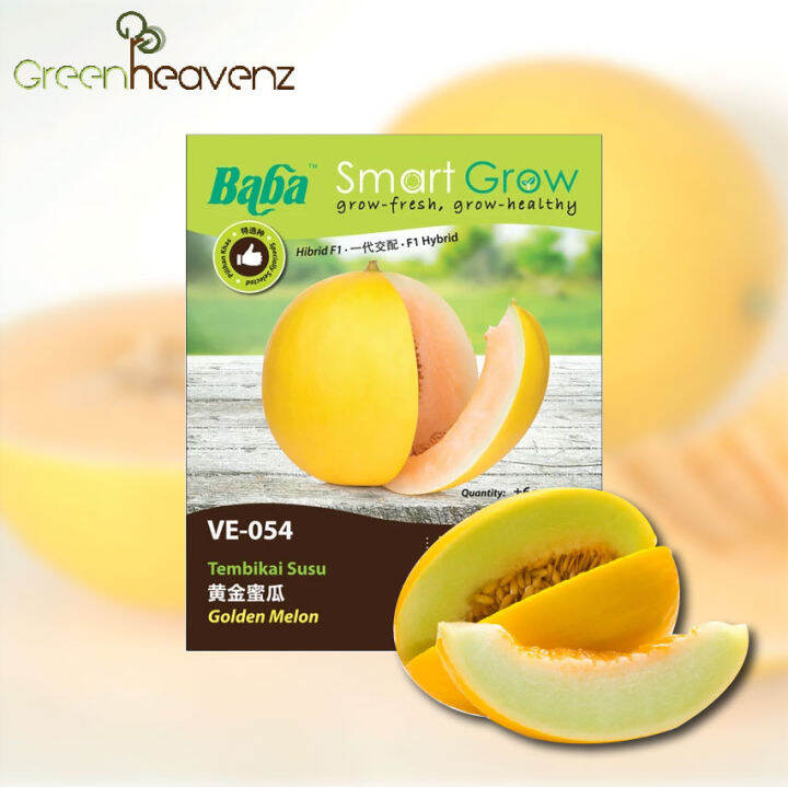 GNC - Baba Smart Grow Seeds: VE-054 Golden Melon Vege Seed Biji Benih ...