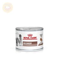 Royal Canin Recovery สัตว์ป่วย พักฟื้น กระป๋องชนิดเปียก 195g 12 กระป๋อง