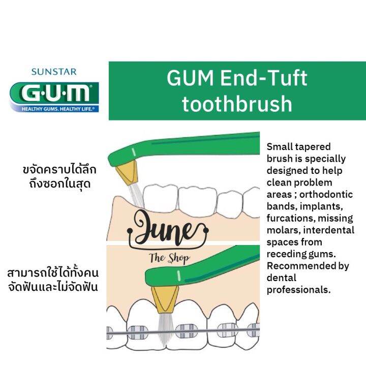 lot-ใหม่-exp-08-27-308-gum-end-tuft-เก็บโค้ด-ส่งฟรี-ด้านล่าง-หน้าแรก-gum-brush-แปรงสีฟัน-เอน-ทัฟท์-แปรงกระจุก-แปรงซี่สุดท้ายหรือซอกฟันที่ยากต่อการทำความสะอาด