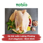 HCM - Gà thả vườn Lương Phượng 1.1kg - 1.2kg Gà Bình Minh - TABIO