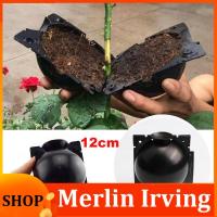 Merlin Irving Shop 12cm High Pressure Plant Rooting Ball Grafting Growing Box Breeding Case Container Nursery Box Garden Root