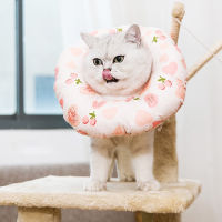 Elizabethan Collar Cat Dog Neck Cone Recovery Collar for Anti-Bite Lick Surgery Wound Healing Protective waterproof accessories