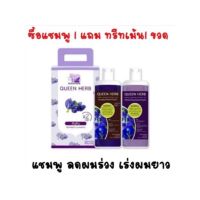 แชมพูอัญชัน Queen Herb แชมพู+ครีมนวด 400 ml. ผมร่วง ผมบางช่วยได้