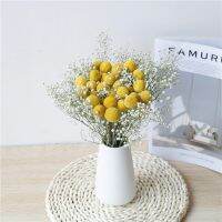 【cw】 Dried Natrual Gypsophila Orbs Eucalyptus Floral Bouquet Wedding Backdrop