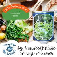 เมล็ดพันธุ์ กป1/4 ขนาด 25กรัม แมงลัก เขียวใบตอง ตราลูกโลก