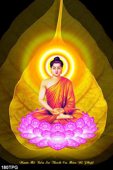 Tranh dán tường 3D Phật giáo sẽ đem đến cho bạn một không gian sống đầy sắc màu tâm hồn. Hãy chìm đắm trong vẻ đẹp của những tác phẩm nghệ thuật này và cảm nhận được sự bình yên tha thiết trong tâm hồn của bạn.