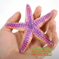 Animal Kingdom - โมเดล Starfish ปลาดาว ขนาด 11.00 CM (จากสงขลา)