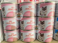 Royal Canin Mother &amp; Babycat Mousse อาหารเปียก แบบเนื้อมูส สำหรับแม่แมวและลูกแมว ขนาด 195 g