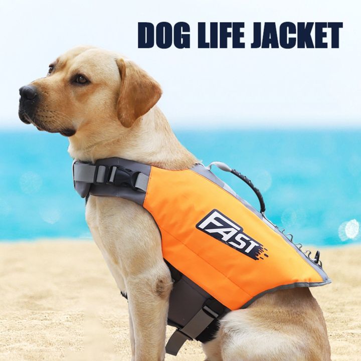 Dog water carrier clearance vest