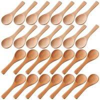 Small Wooden Spoons Mini Tasting Spoons Condiments Salt Spoons for Kitchen Cooking Seasoning Oil Coffee Tea Sugar 150Pcs