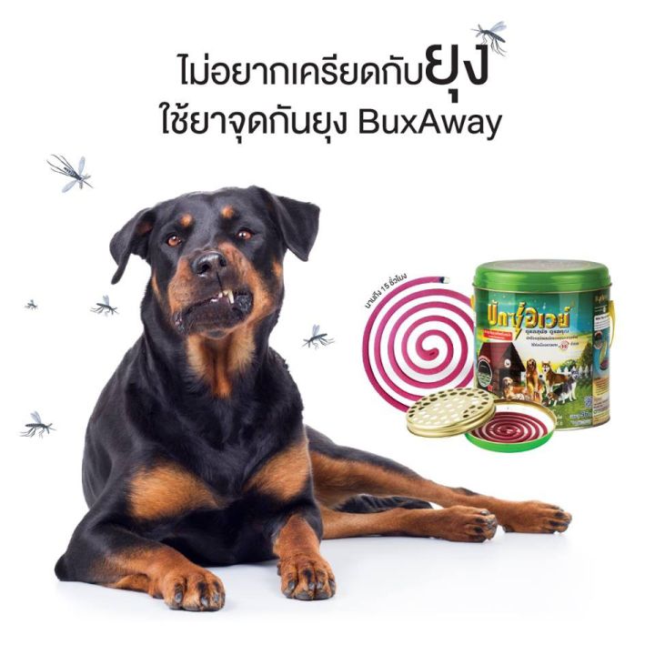 42pets-buxaway-ยาจุดกันยุงสัตว์เลี้ยง-ปลอดภัยสำหรับสัตว์เลี้ยงและคน-ยากันยุงสำหรับสุนัขและแมว-ที่สุนัขและแมว-ยากันยุง