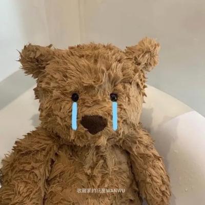 2023 น่ารัก Teddy bear Bryan Teddy Bear Soft Cute Ugly Cute Girl Heart Plush ตุ๊กตาของขวัญจัดส่งฟรี