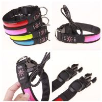 ﹊❀♤ LED Glowing Dog Collar Adjustable Flashing USB Charging Luminous Collar Night Light Harness For Big Medium Small Dogs Pet Items