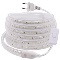 2835 LED Strip 220V 120LEDs/m IP67 Waterproof Indoor Outdoor Decoration Cool/Warm White / Blue Flexible Tape Rope LED Light Lamp