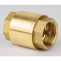 ว้าววว สปริงเช็ควาล์วทองเหลือง PN16 ขนาด 1/2-2 นิ้ว (Brass  Check Valve) คุ้มสุดสุด วาล์ว ควบคุม ทิศทาง วาล์ว ไฮ ด รอ ลิ ก วาล์ว ทาง เดียว วาล์ว กัน กลับ pvc