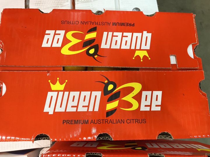 ส้ม-ส้มแมนดาริน-ออสเตรเลีย-ตราผึ้ง-กล่องแดง-aus-40-42-ลูก-ลัง-นำเข้าจากออสเตรเลีย-น้ำหนักชั่งรวมลังประมาณ-9-กิโลกรัม