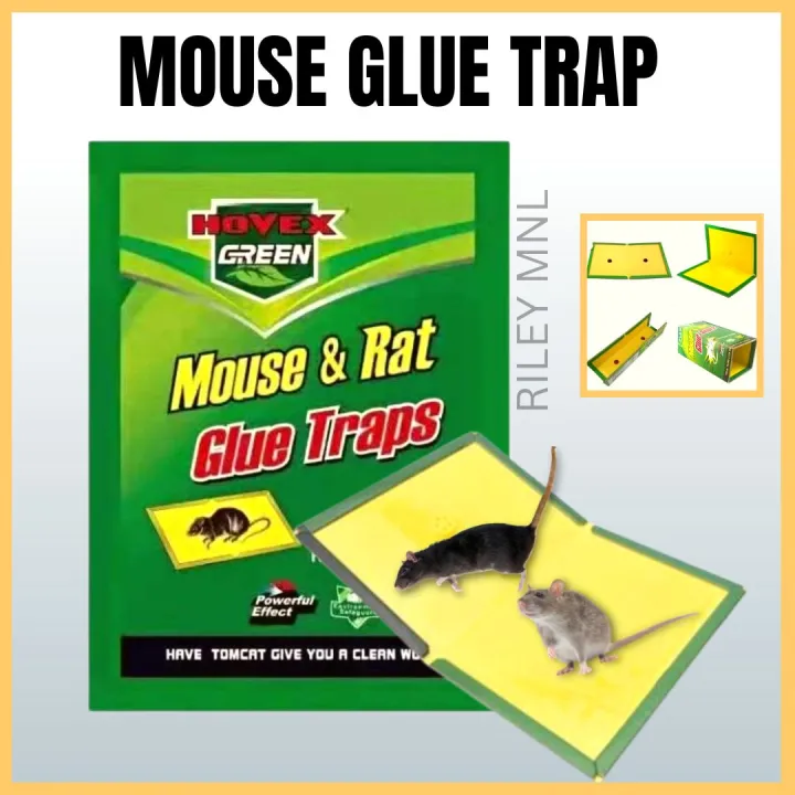 Riley MNL - 1 Pc. Mouse Glue Trap Board / Super Sticky Adhesive Rat ...