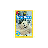 English original genuine picture book National Geographic Kids polar bears National Geographic level 1 childrens popular science picture book polar bear