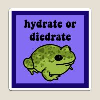 Hydrate หรือ Diedrate กบแม่เหล็กเด็กบ้านน่ารักที่มีสีสันแม่เหล็กของเล่นผู้ถือ Decor ตู้เย็นตลกสำหรับตู้เย็น Organizer