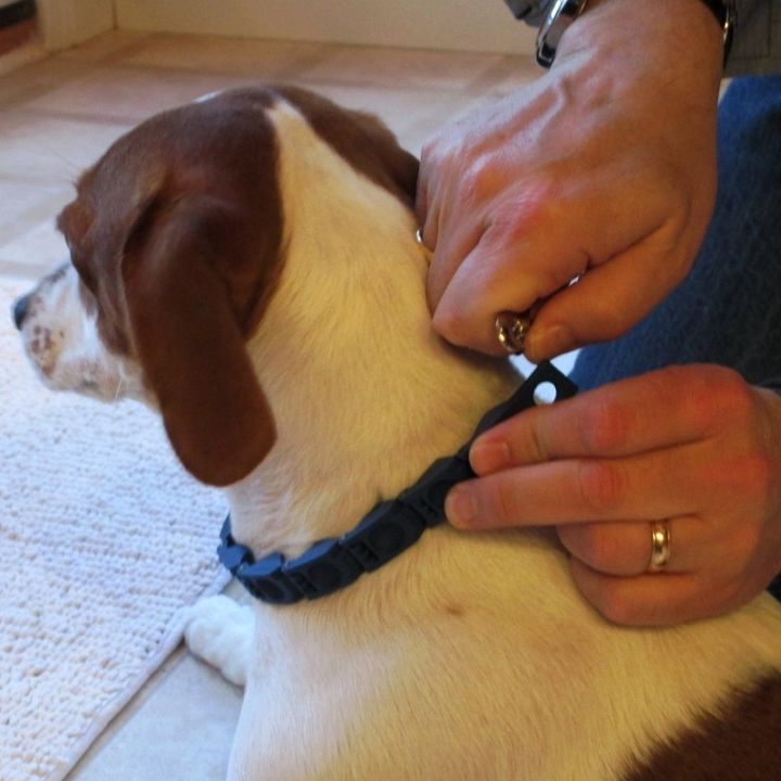 don-sullivan-perfect-dog-command-collar-reduce-pulling-jumping-pinch-training-for-medium-large-dogs