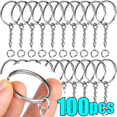 20/100pcs Metal Blank Keyring Keychain Split Rings Keyfob Key Rings Lobster Clasp Key Chain Key Pendant Stainless Steel Rings Key Chains