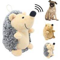 【A Smart and Cute】ของเล่นตุ๊กตาสัตว์เลี้ยง15ซม. Hedgehog Shape Dog Teething Squeaky Puppy Kitten