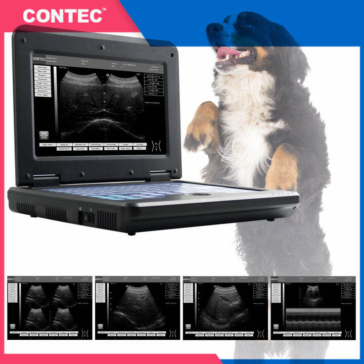 CONTEC CMS600P2-VET Veterinary Ultrasound Scanner Machine Laptop ...