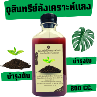 จุลินทรีย์สังเคราะห์แสง ขนาด 200 ml. สามารถขยายเชื้อต่อได้ไม่มีที่สิ้นสุด