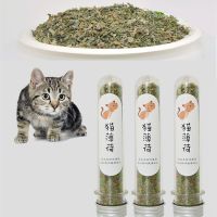 THPET กัญชาแมว แคทนิปแมว Catnip ออร์แกนิคแบบหลอด กัญชาหลอด 40ml