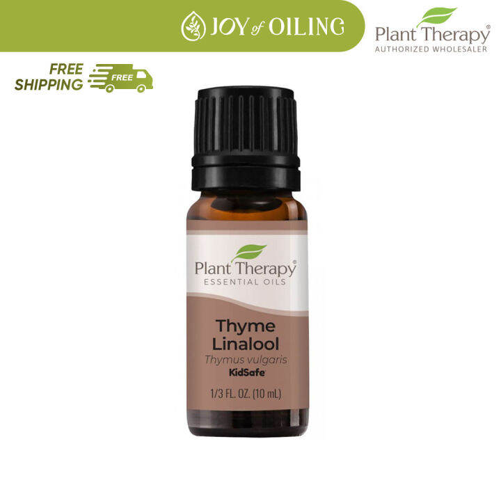 PLANT THERAPY Thyme Linalool Essential Oil [100 Authentic] Lazada