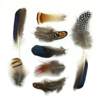 chicken pheasant feathers Rooster peacock Plumes for crafts Jewelry Accessories Wedding decoration