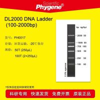 DL2000 Ladder 100-2000bp 100T PH0017