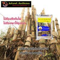 ( Pro+++ ) คุ้มค่า เกลือชนิดพิเศษไม่ใช่สารเคมีอันตรายใช้กำจัดกอไผ่โดยเฉพาะไม่เป็นอันตรายต่อคนและสัตว์เลี้ยงใช้เป็นยากำจัดต้นไผ่ ได้ผล 100% ราคาดี พรรณ ไม้ น้ำ พรรณ ไม้ ทุก ชนิด พรรณ ไม้ น้ำ สวยงาม พรรณ ไม้ มงคล