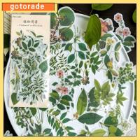 GOTORADE สีเขียวอ่อน สติกเกอร์ติดผนัง กระดาษ Washi สติกเกอร์รูปใบไม้ สติกเกอร์ตกแต่งลาย สติ๊กเกอร์ลายต้นไม้ ดีไอวาย