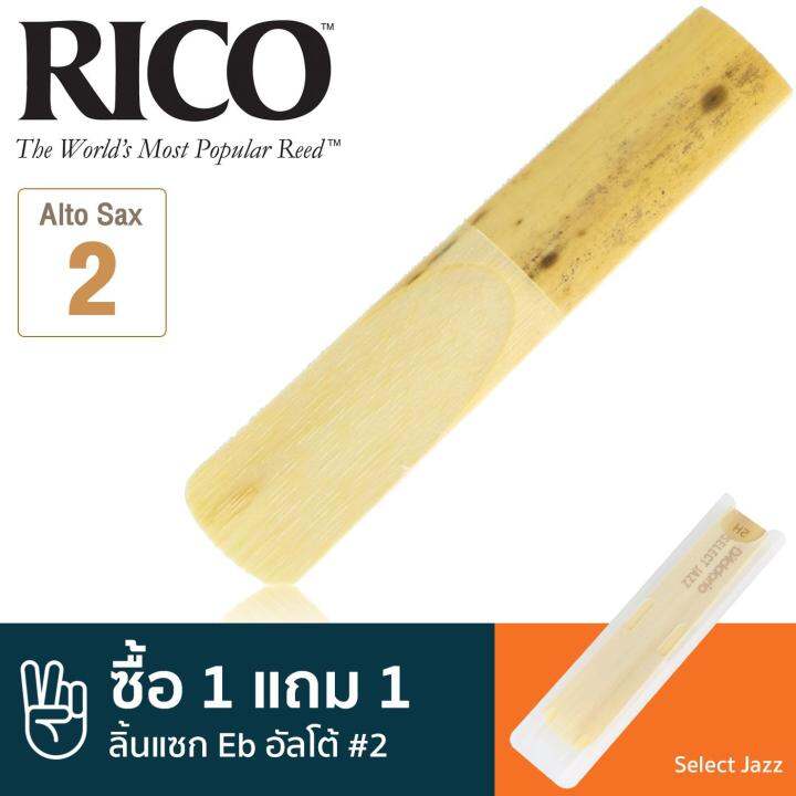 Rico™ Select Jazz ลิ้นแซกโซโฟน อัลโต้ เบอร์ 2 (ลิ้นอัลโต้แซก เบอร์ 2