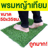 พรมหญ้าเทียม พรมเช็ดเท้า ขนาด 50x35ซม. พรมดักฝุ่น ดักฝุ่น กันฝุ่น หญ้าเทียม หญ้าเทียมราคาถูก มีรูระบายน้ำ ปูพื้น พรมตกแต่งบ้าน