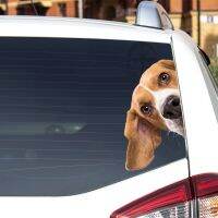 Car Sticker Beagle Dog Pet Animal Waterproof Vinyl Decal Car Accessories Decor Pegatinas Para Coche  #V1384 Bumper Stickers Decals  Magnets