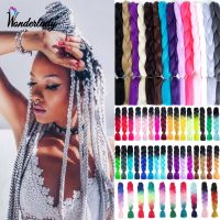 WonderLady 100g 170 Colors Synthetic Braiding Hair Extensions Jumbo Braids 24Inch Pre Stretched Long Twist Ombre Hair For Braids