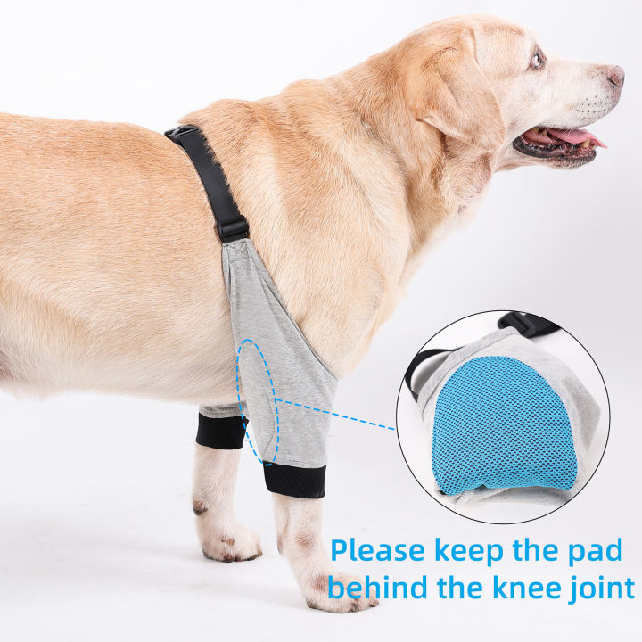 อุปกรณ์ป้องกันข้อศอกสำหรับสุนัข-ปลอกหุ้มขาด้านหน้าปรับได้อุปกรณ์ป้องกันอาการบาดเจ็บสำหรับสัตว์เลี้ยงจำนวน1คู่