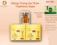 Đông Trùng Hạ Thảo Traphaco Sapa 20gr từ dự án KHCN cấp Nhà nước