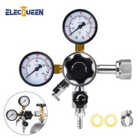 【hot】☫✴☃ W21.8 Co2 RegulatorHomebrew Keg Kegerator Regulator 3000PSI Pressure Guage with