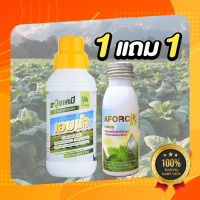 ปุ๋ยน้ำเอมม่า (1 ลิตร) แถมฟรี สารจับใบ เอฟอช (100 LM) ป้องกันการเกิดเชื้อราในพืช ปุ๋ยเคมีเอมม่า